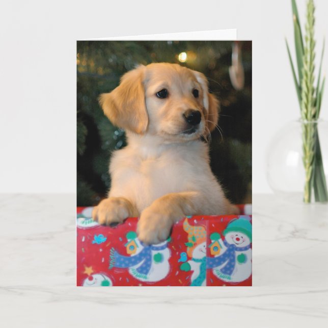 Carte de Noël d'or de présent de chiot (Devant)