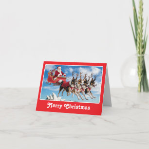 Carte de Noël drôle de Berger Australien