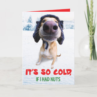 Carte de Noël drôle de chien Teddy l'homme Spaz