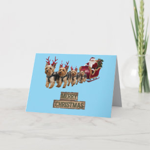 Carte de Noël drôle de Yorkie