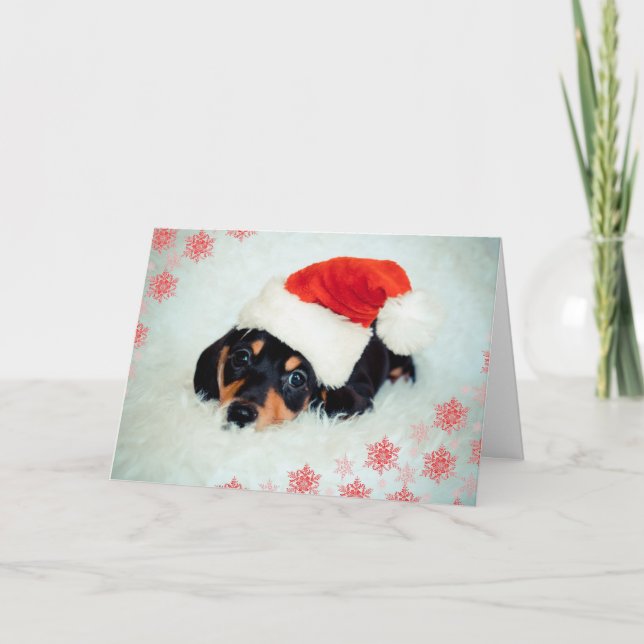 Carte de Noël du chiot de Dachshund (Devant)