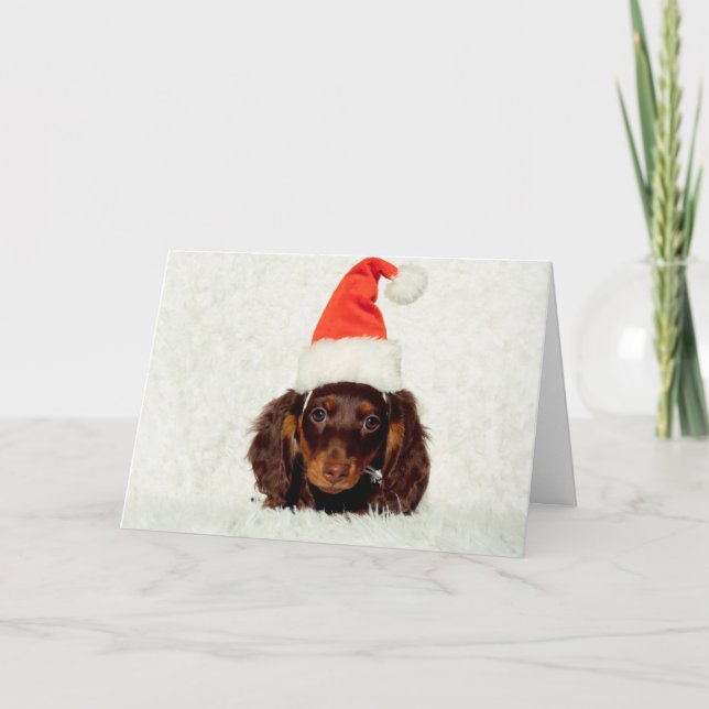 Carte de Noël du chiot de Dachshund (Devant)