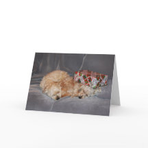 Carte de Noël du chiot en difficulté