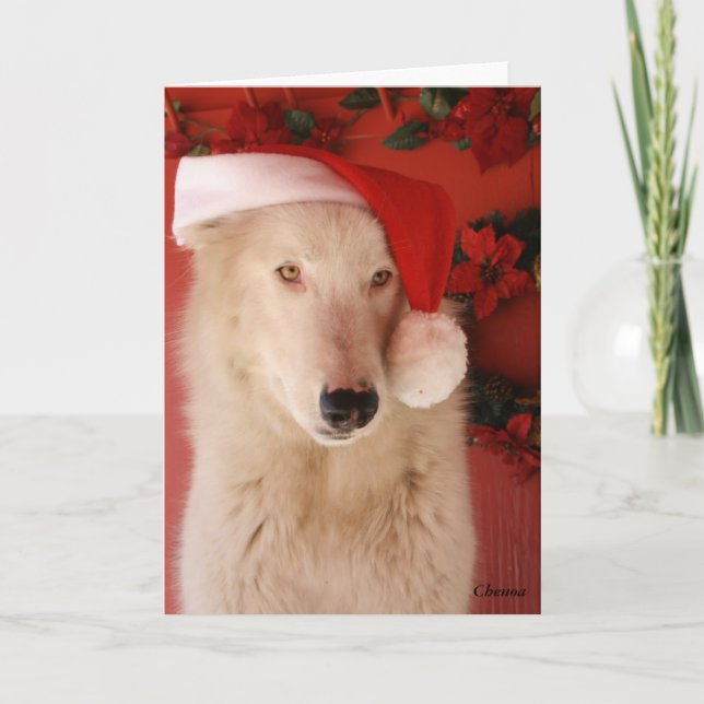 Carte de Noël du loup blanc (Devant)