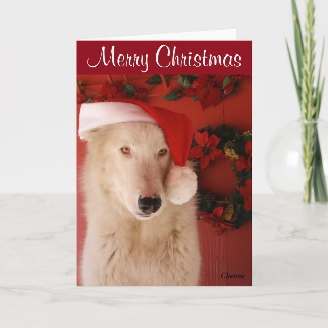 Carte de Noël du loup blanc (Devant)