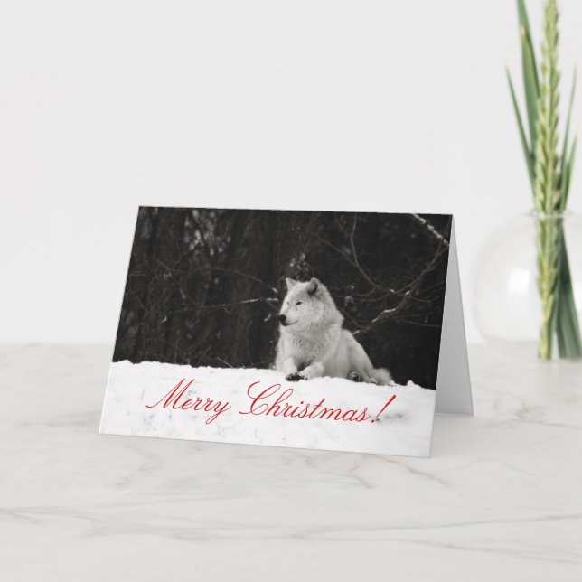 Carte de Noël du loup de neige (Devant)