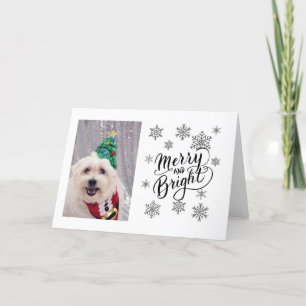 Carte de Noël du mignon chien maltais Bichon