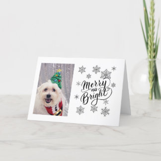 Carte de Noël du mignon chien maltais Bichon