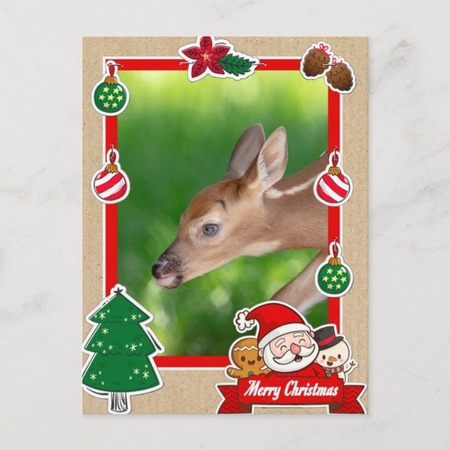 Carte de Noël du Père (cerf de Virginie) (Devant)