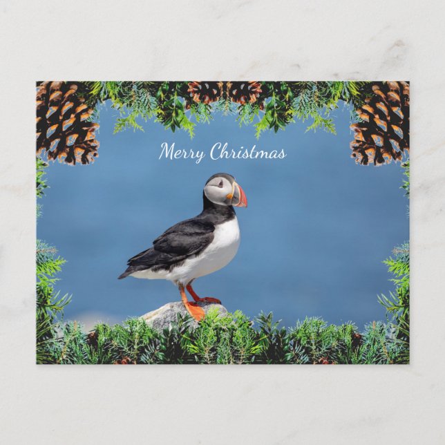 Carte de Noël du Puffin de l'Atlantique (Devant)