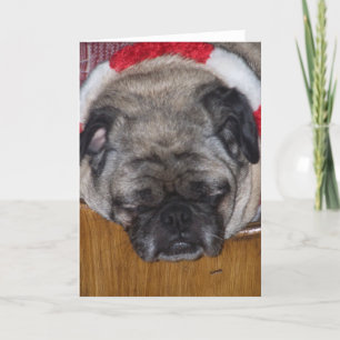 Carte de Noël d'un chien de carlin