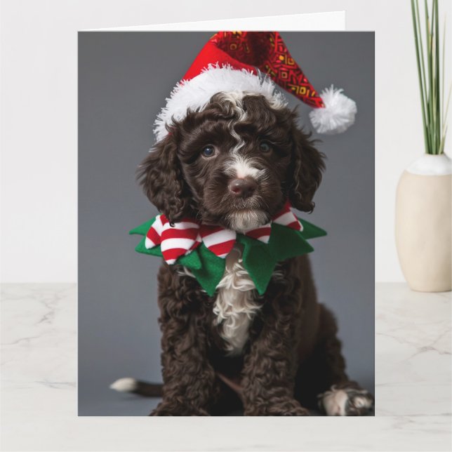 Carte de Noël Elf Chien d'eau portugais (Devant)