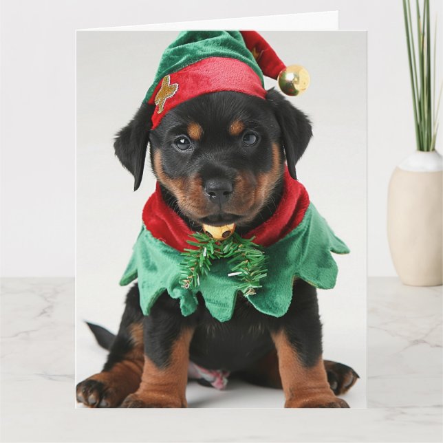 Carte de Noël Elf Puppy Rottweiler (Devant)