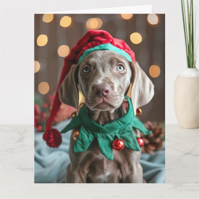 Carte de Noël Elf Puppy Weimaraner (Devant)