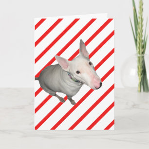 Carte de Noël en bande rouge et blanche
