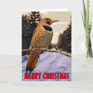 Carte de Noël en Pic