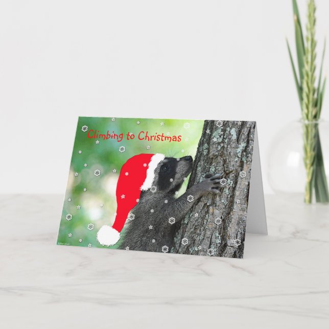 Carte de Noël Escalade Raccoon (Devant)