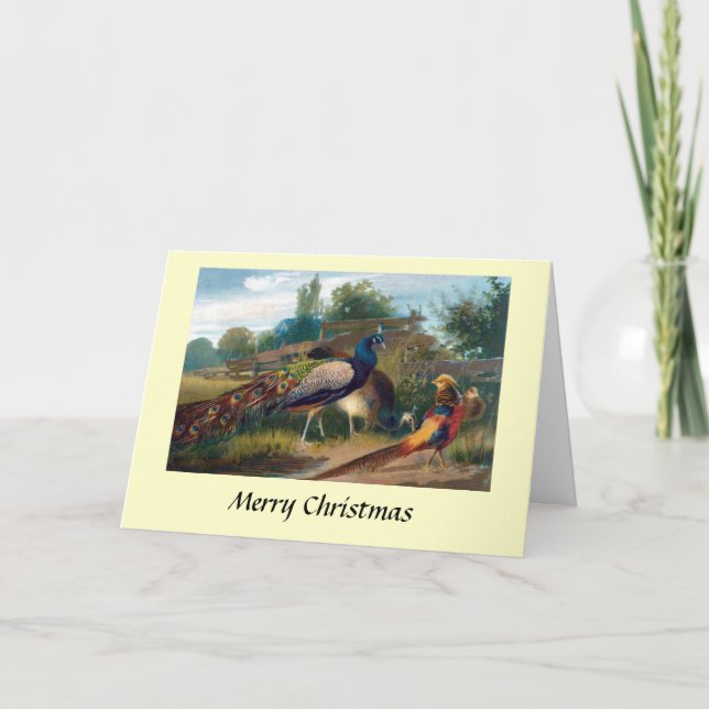 Carte de Noël - faisans (Devant)