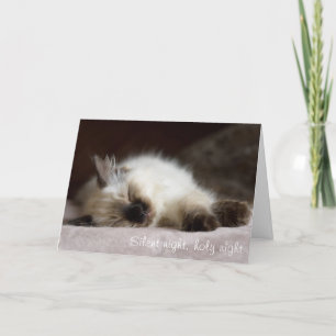 Carte de Noël faisante la sieste