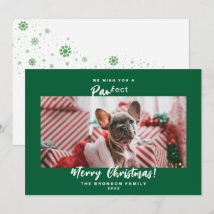 Carte de Noël festive pour animaux Photo Joyeux No