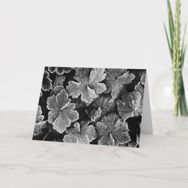 Carte de Noël Feuille congelée (Devant)