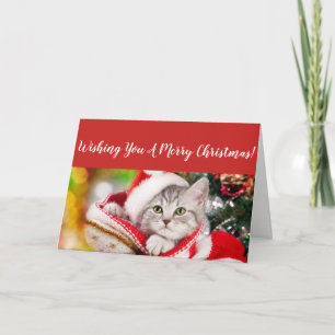 Carte de Noël Fluffy Kitten