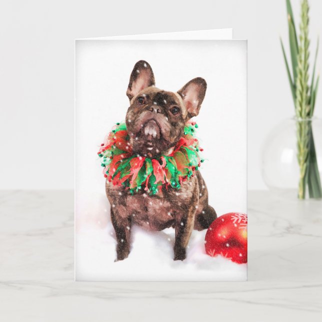 Carte de Noël française Buldog (Devant)