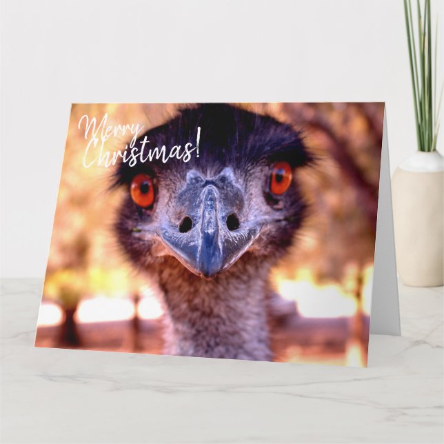 Carte de Noël géante australienne EMU (Devant)