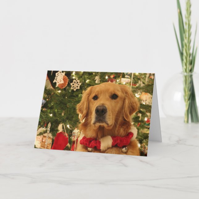 Carte de Noël Golden Retriever (Devant)
