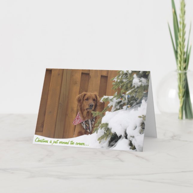 Carte de Noël, Golden Retriever en neige (Devant)
