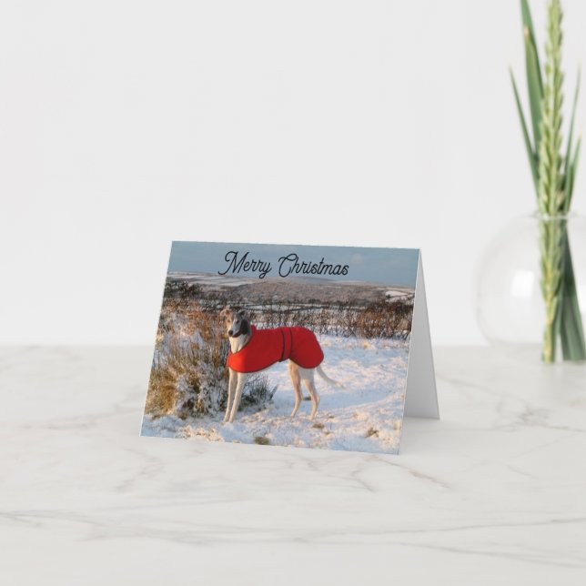 Carte de Noël Greyhound - Bleu avec veste rouge (Devant)