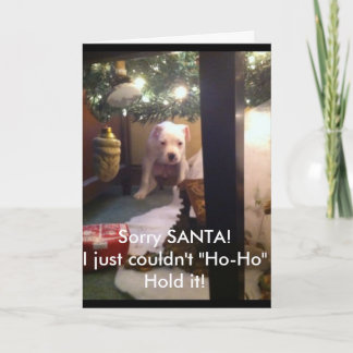 CARTE de NOËL humoristique !
