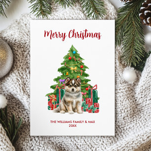 Carte de Noël Husky Sibérien