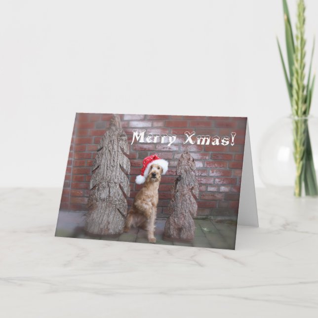 Carte de Noël « irlandais terriers " (Devant)
