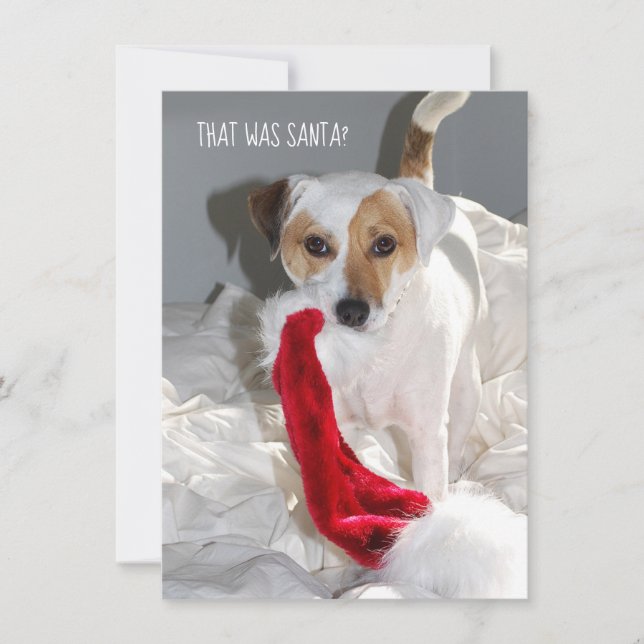 Carte de Noël Jack Russell (Devant)