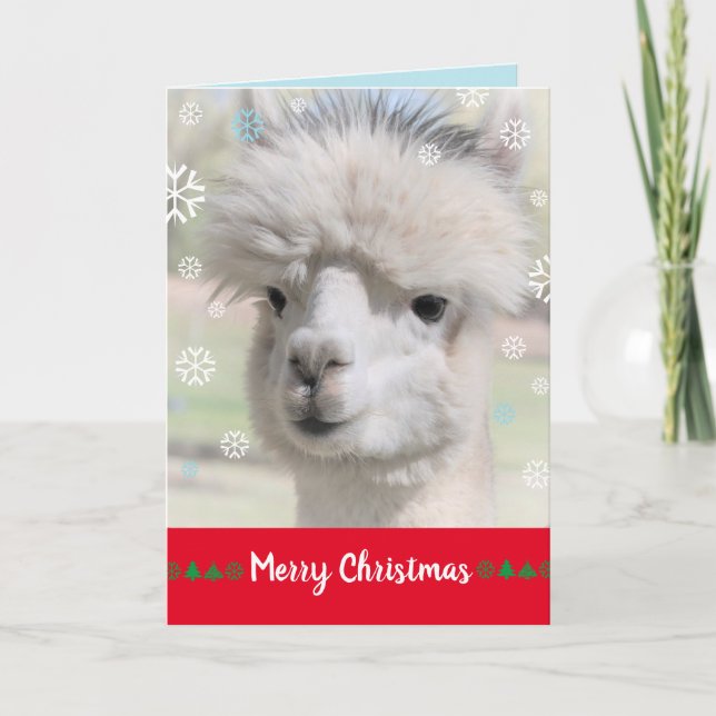 Carte de Noël joyeuse Alpaca neige (Devant)