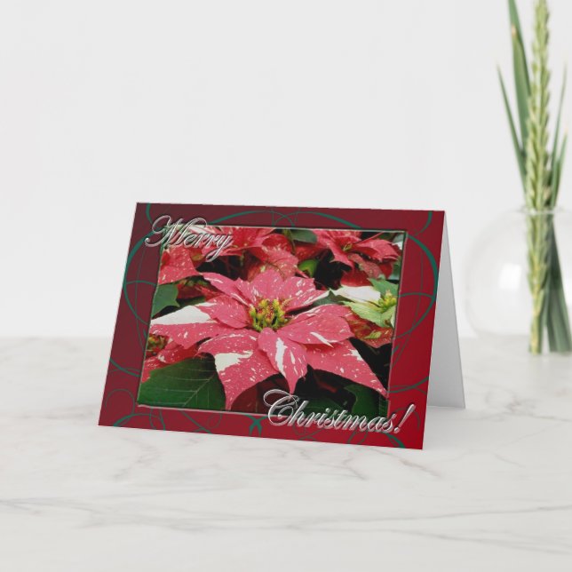 Carte de Noël Joyeux Noël Poinsettia (Devant)