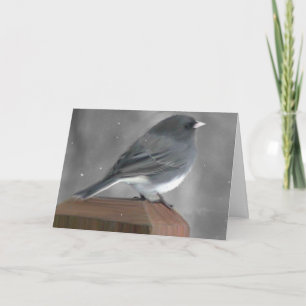 Carte de Noël Junco