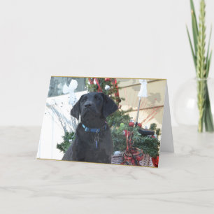 Carte de Noël ~ Labrador Retriever