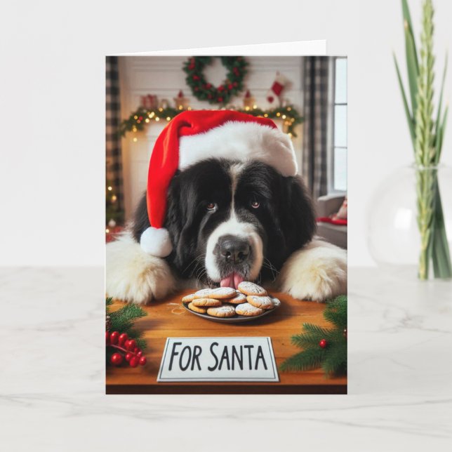 Carte de Noël Lick Cookies de Terre-Neuve (Devant)