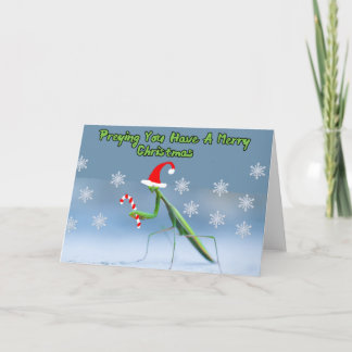 Carte de Noël Mantis Prière avec nom personnalisé
