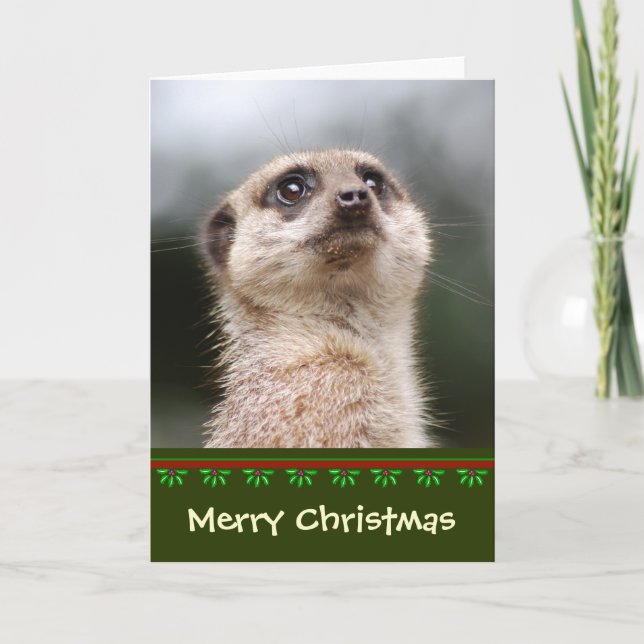 Carte de Noël Meerkat (Devant)