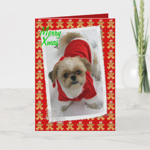 carte de Noël mignonne de chien de père Noël de