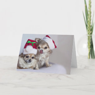Carte de Noël mignonne de chiwawas