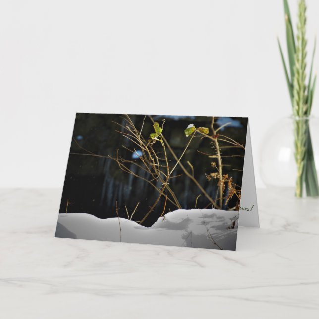Carte de Noël "Minnesnowta invisible" (Devant)
