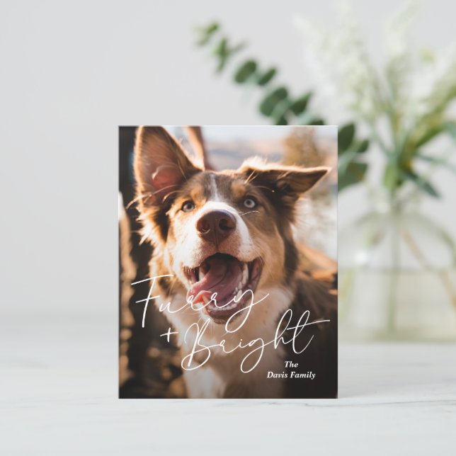 Carte de Noël moderne pour chien mignon (Debout devant)