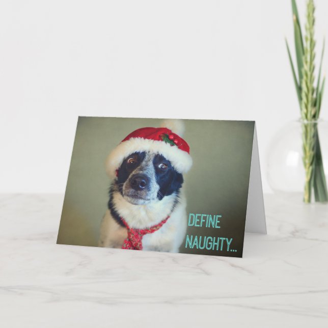 Carte de Noël Naughty Border Collie. (Devant)