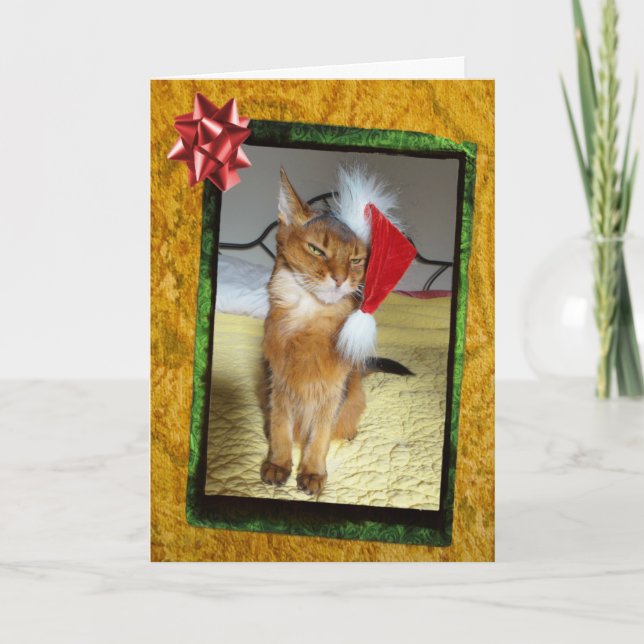 Carte de Noël Naughty Kitty (Devant)
