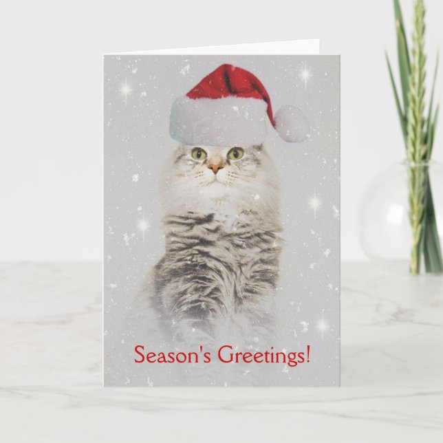 Carte de Noël norvégienne de chat de forêt (Devant)