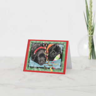 Carte de Noël~Nouveaux petits couchés